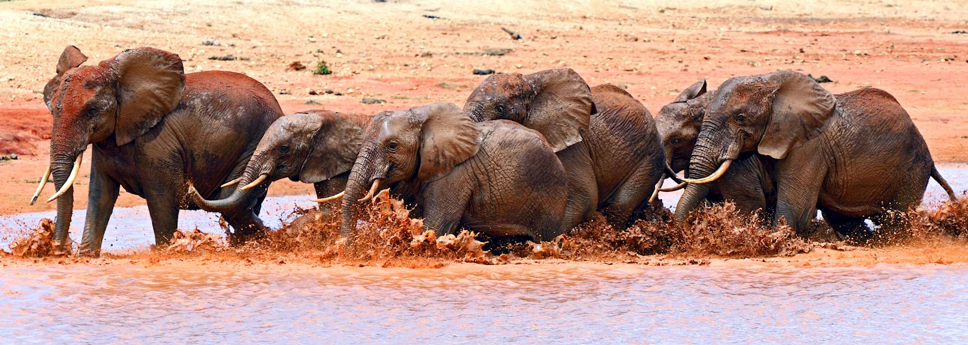 Tsavo West National Park