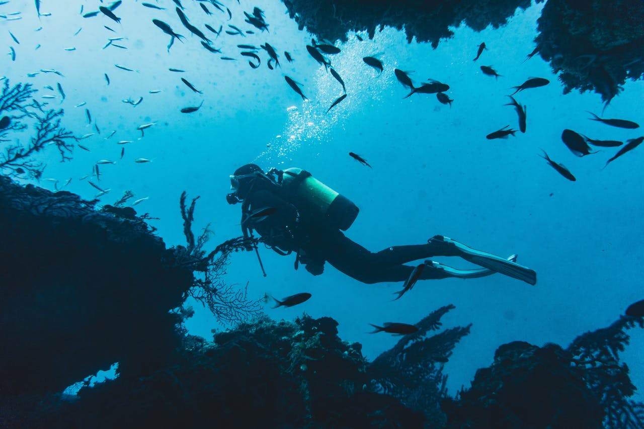 Scuba Diving