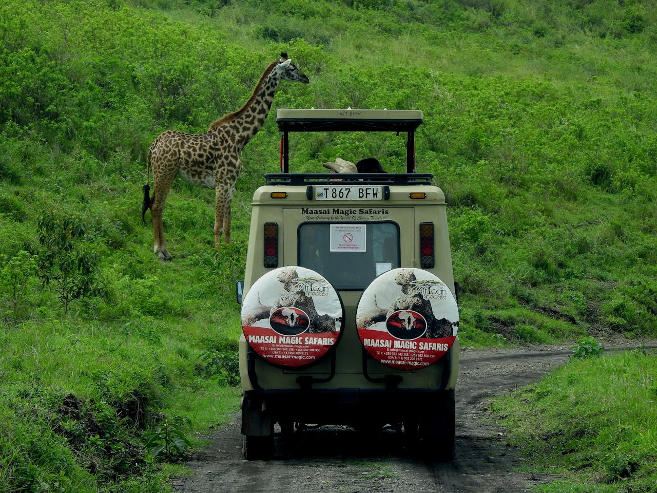 Game Drives