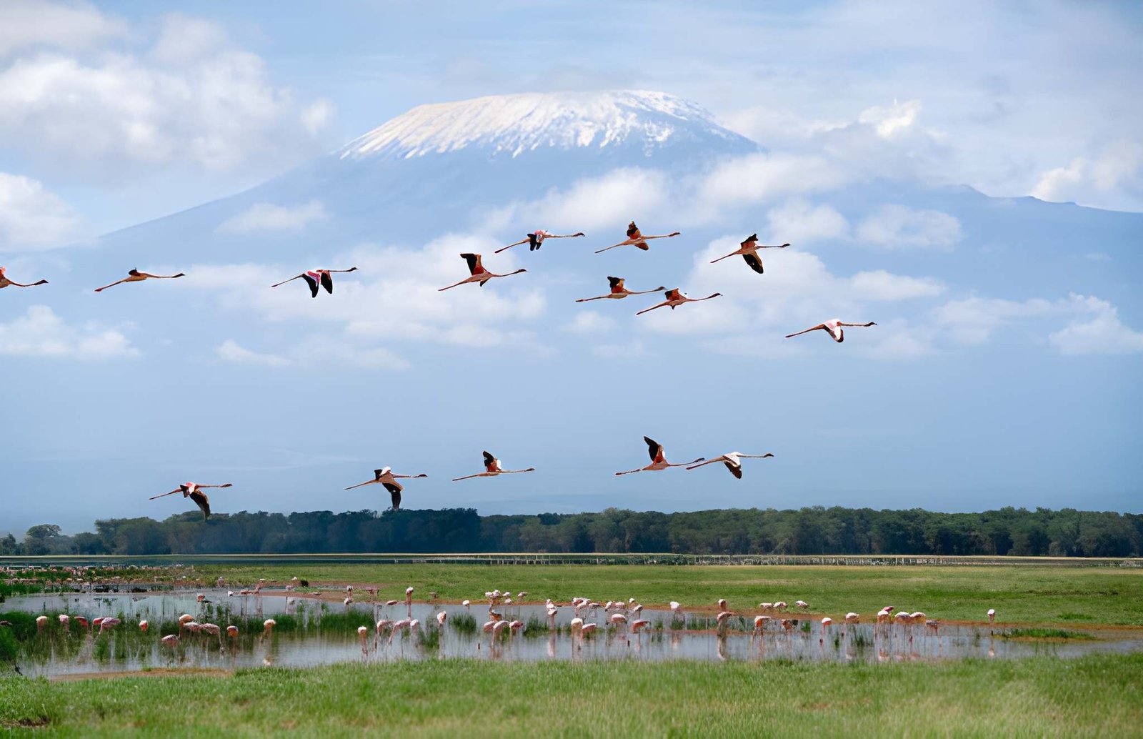 10 Simple Ways to Make Your Kenya Safari More Sustainable