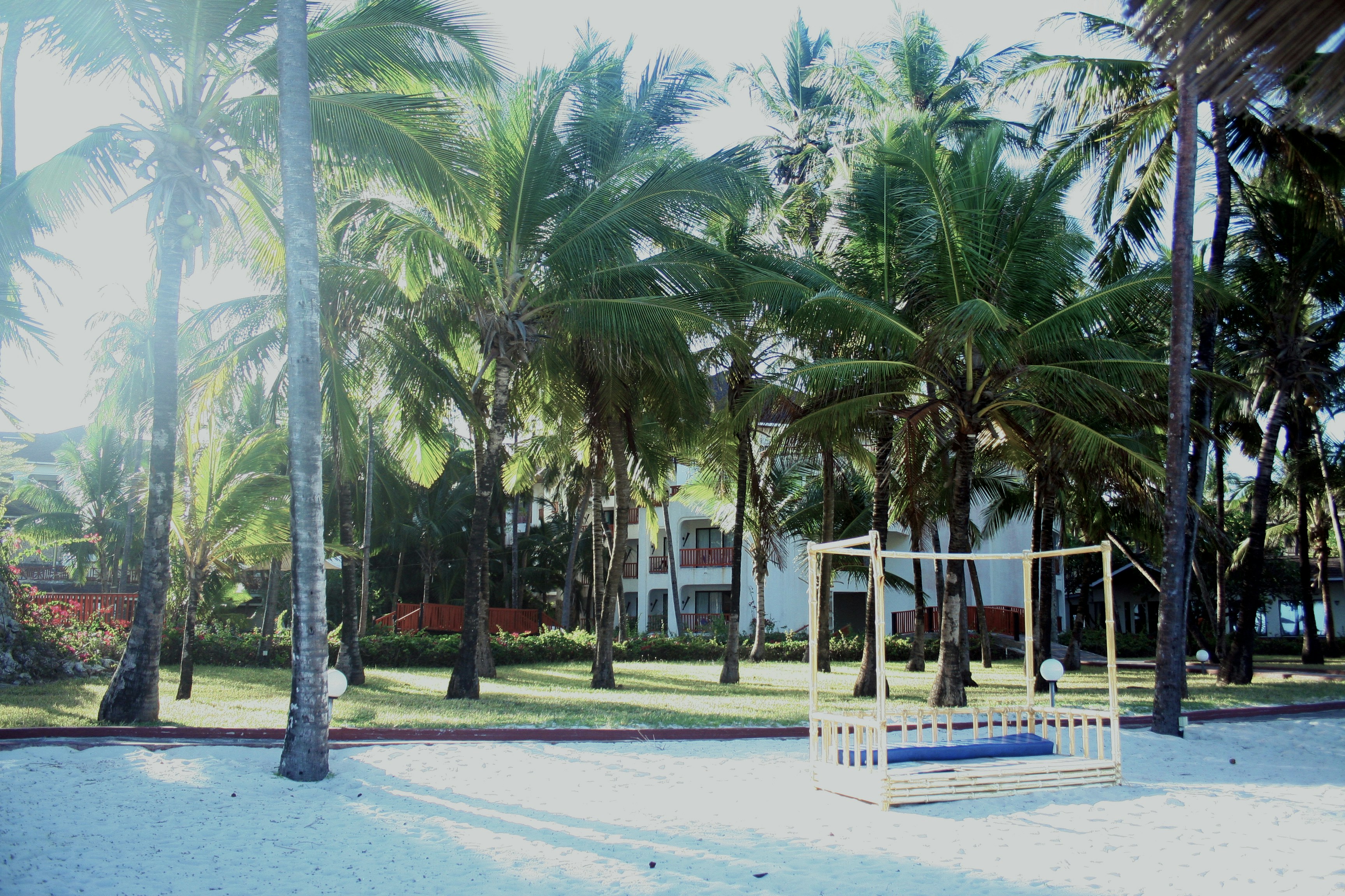 10 Best Things to Do in Diani Beach, Kenya | Complete 2026 Travel Guide