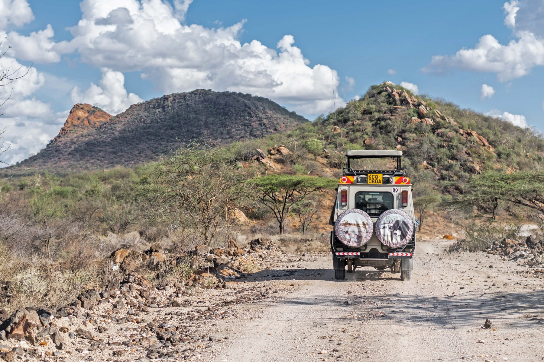 Safari Tours